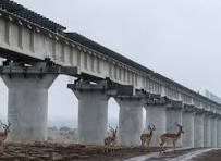 Construction, Contractors image